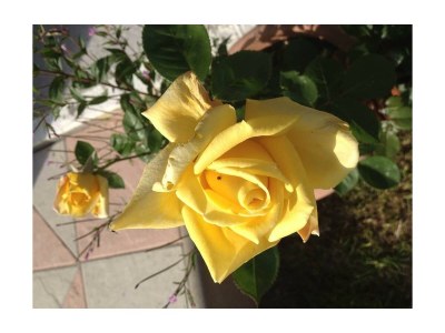 Apartment Appartment Goldbergblick 1Schlafraum/ Bad,WC - Outdoor photo 23