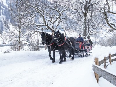 Apartment Appartment Goldbergblick 1Schlafraum/ Bad,WC - Outdoor photo 56