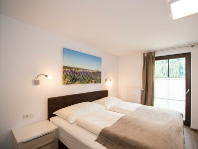 Apartment Appartement Superior mit Balkon 4-6P. #9 - Features photo 18