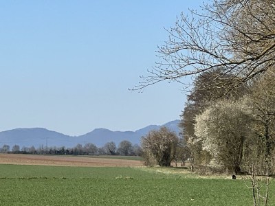 Apartment Tiny House "Weirouge" - Outdoor photo 43