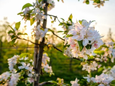 Apartment Tiny House "Weirouge" - Outdoor photo 45