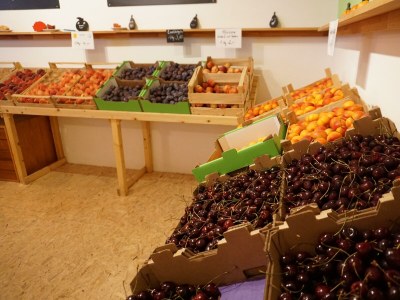 Apartment Tiny House "Weirouge" - Outdoor photo 51