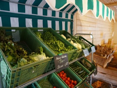 Apartment Tiny House "Weirouge" - Features photo 78