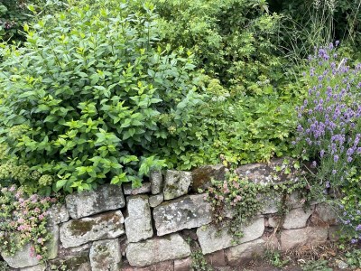 Apartment Ferienhaus, Dusche und Bad, WC, 2 Schlafräume - Outdoor photo 31