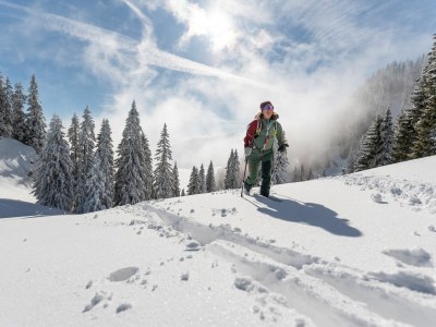 Holiday apartment Gästehaus Alpenglüh´n - Outdoor photo 8