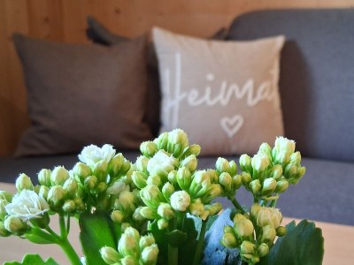 Holiday apartment Gästehaus Alpenglüh´n - Features photo 15