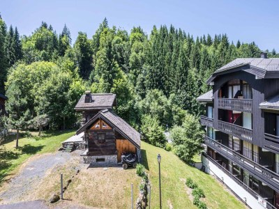 Apartment Cozy Apartment in Morillon Alps - Outdoor photo 2