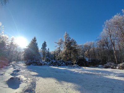 Holiday apartment Sun Mountain  "Wache" - Outdoor photo 16