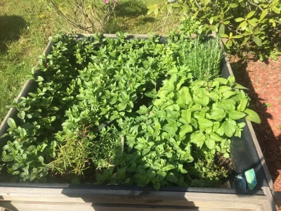 Holiday apartment Sun Mountain  "Wache" - Outdoor photo 28