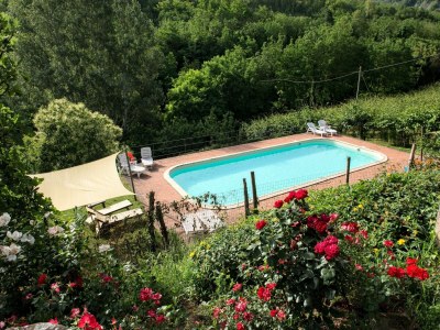Holiday house Apartment in Modigliana with swimming pool - Outdoor photo 15