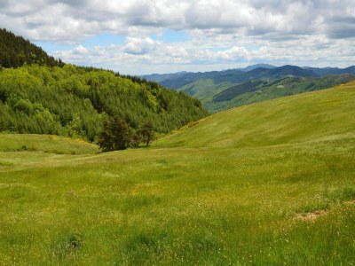 Holiday house Apartment in Modigliana with swimming pool - Environment photo 29