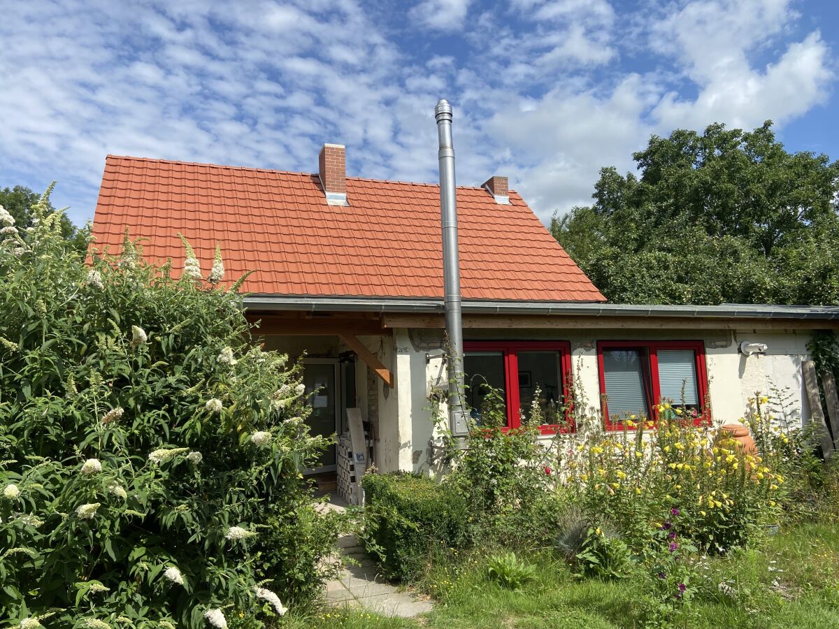 Holiday apartment Little Green Basedow - Outdoor photo 4