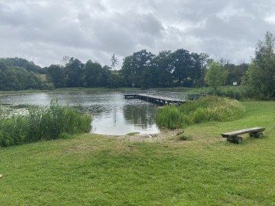 Holiday apartment Little Green Basedow - Environment photo 18