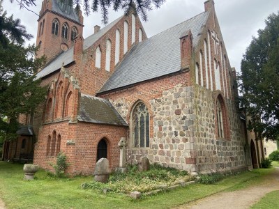 Holiday apartment Little Green Basedow - Environment photo 20