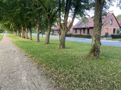 Holiday apartment Little Green Basedow - Environment photo 22