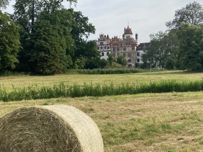 Holiday apartment Little Green Basedow - Environment photo 23