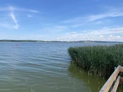 Holiday apartment Little Green Basedow - Environment photo 27