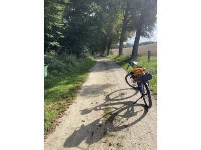 Holiday apartment Little Green Basedow - Environment photo 29