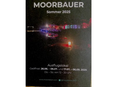 Holiday apartment Little Green Basedow - Environment photo 35