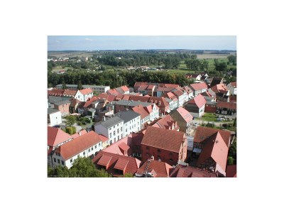 Holiday apartment Little Green Basedow - Environment photo 38