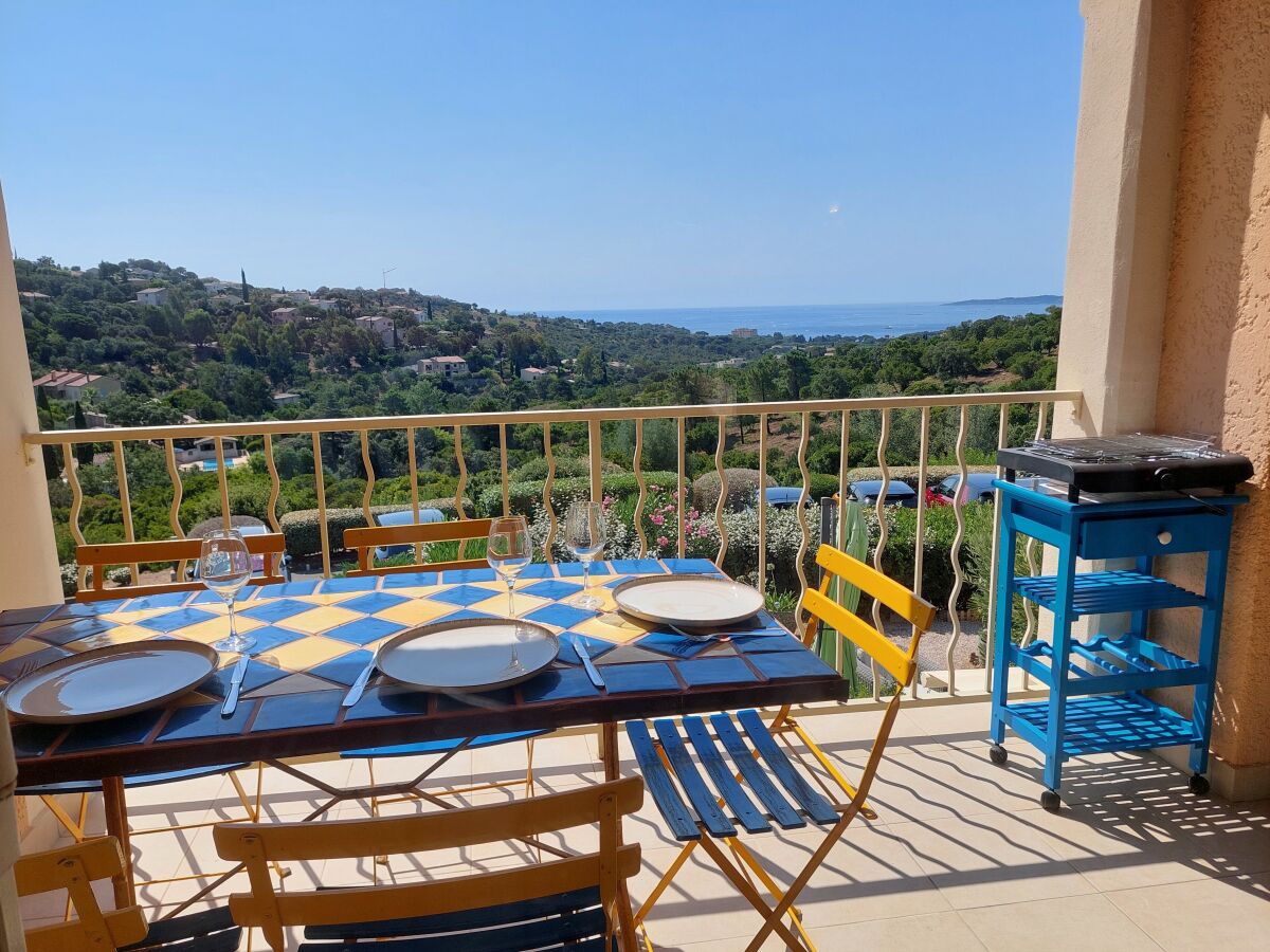 Holiday apartment Zum Zen Oleander - Outdoor photo 5