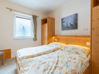 Holiday house Family Apartment near Wildkogel Ski-lift - Features photo 14