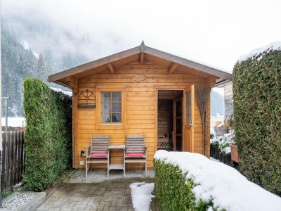 Holiday house Holiday home in Hollersbach im Pinzgau - Outdoor photo 27