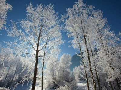 Holiday house Apartment with Terrace in Hollersbach - Environment photo 23
