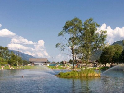 Holiday house Apartment with Terrace in Hollersbach - Environment photo 25