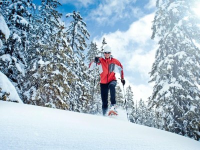 Holiday house Apartment with Terrace in Hollersbach - Environment photo 26