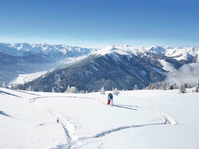 Holiday house Apartment with Terrace in Hollersbach - Environment photo 27