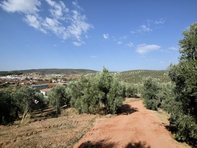 Villa Villa mit Whirlpool in Villanueva del Trabuco - Environment photo 42