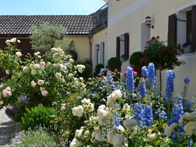 Holiday apartment Hoacherer Hof - Outdoor photo 6