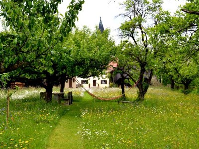 Holiday apartment Hoacherer Hof - Outdoor photo 8