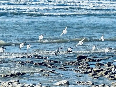 Villa No title - Environment photo 47