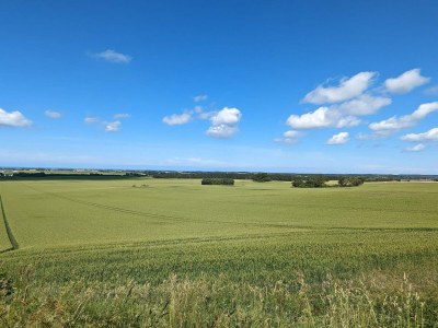 Holiday house 6 person holiday home in Løkken - Outdoor photo 13