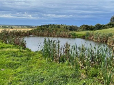 Holiday house 6 person holiday home in Løkken - Outdoor photo 36