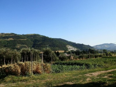 Farmhouse Farmhouse in Modigliana with Scenic Views - Outdoor photo 6