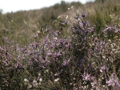 Holiday park Ferienhaus für 6 Gäste in Mook - Environment photo 17