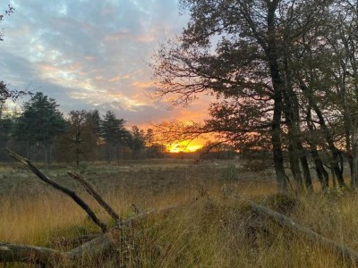 Holiday park Ferienhaus für 6 Gäste in Mook - Environment photo 25