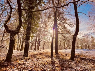 Holiday park Ferienhaus für 6 Gäste in Mook - Environment photo 34