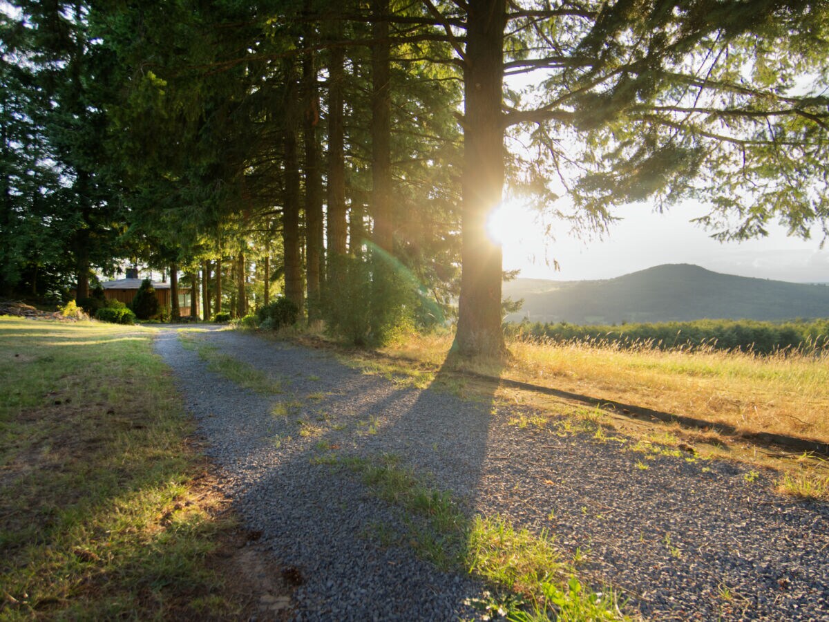 Holiday house Chalet Eifelidylle - Outdoor photo 4