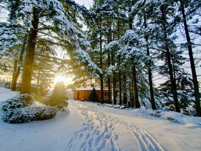 Holiday house Chalet Eifelidylle - Features photo 27