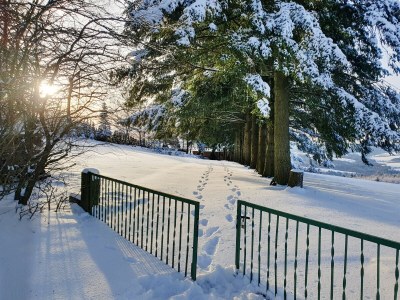 Holiday house Chalet Eifelidylle - Features photo 28