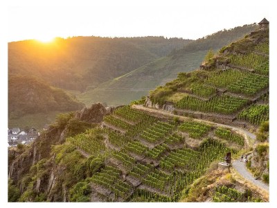 Holiday house Chalet Eifelidylle - Environment photo 36