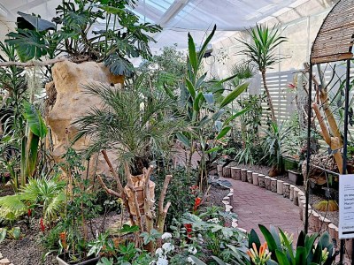 Holiday house Chalet Eifelidylle - Environment photo 39