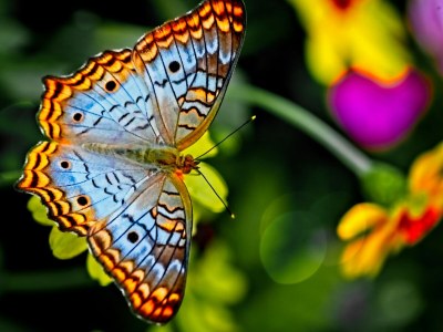 Holiday house Chalet Eifelidylle - Environment photo 40