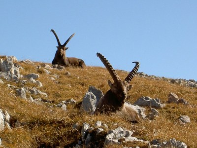 Holiday apartment Seidinger - Environment photo 21