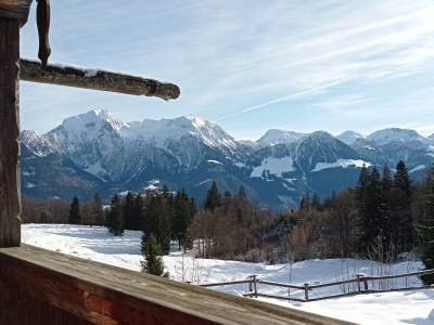 Holiday apartment Seidinger - Environment photo 23