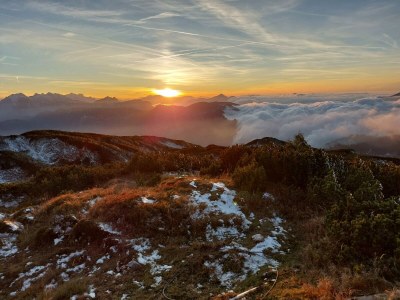 Holiday apartment Seidinger - Environment photo 24